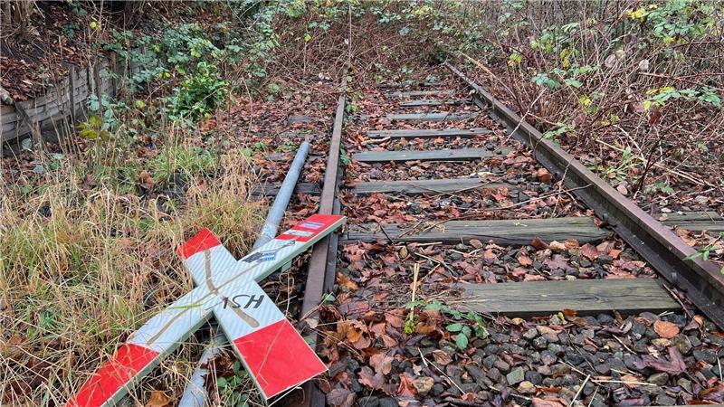 Foto mit Symbolcharakter: Das Andreaskreuz liegt auf dem Bahnkörper, der zugewachsen ist.