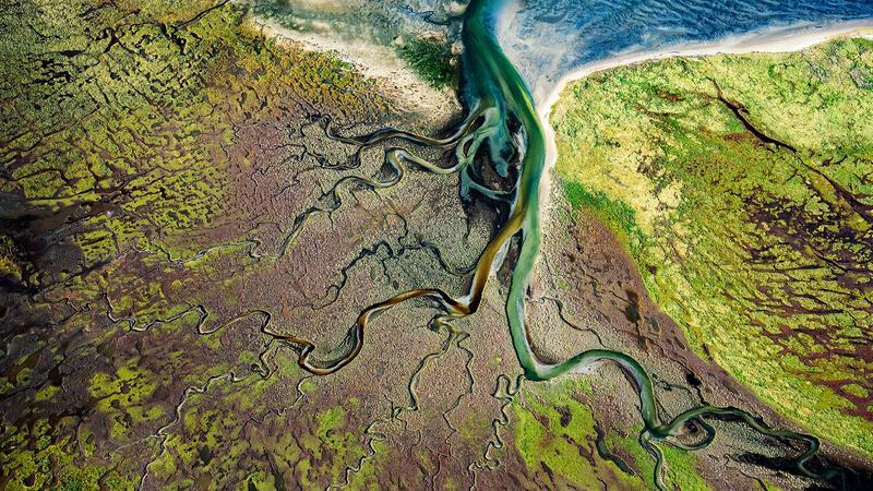 Stader Luftbildfotograf Martin Elsen zeigt die Nordsee von oben Foto mit Wow-Effekt: Seegras auf der Nordseeinsel Memmert bei Juist.