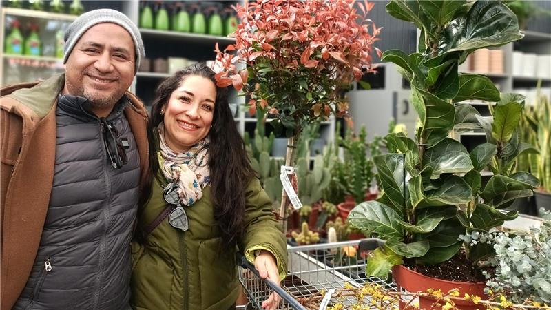 Francisco und Yuri Garcia haben sich einen Ficus, Eukalyptus und Lavendel ausgesucht.