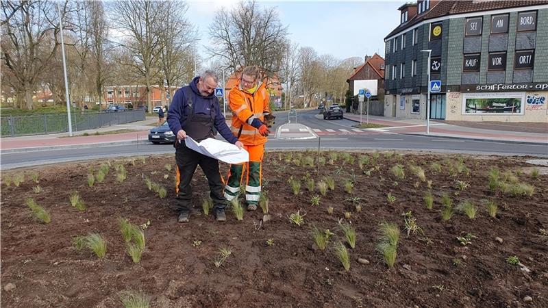 670 Stauden: Kreisel an der Schiffertorsstraße wird Grün Frank Holst und Sarah Martens von den Kommunalen Betrieben Stade verpassen dem Kreisel mit Stauden ein grünes Outfit. Foto: Hansestadt