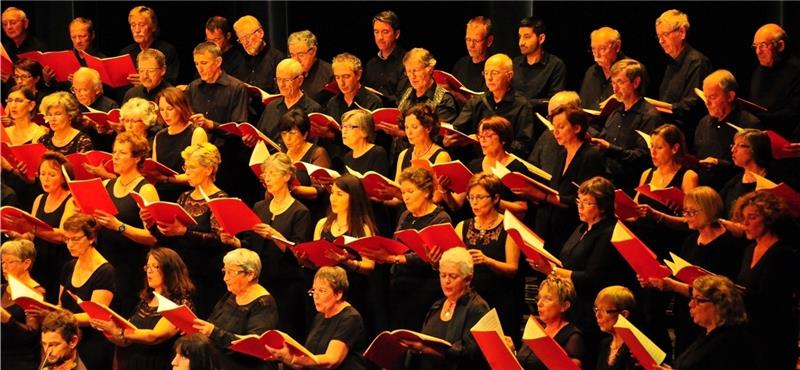 Frankreich 2014: Der Stader Kammerchor Vox Humana und der südfranzösische Chor Cant’Orens bringen mit großem Erfolg die Tango-Messe von Martín Palmeri zur Aufführung.