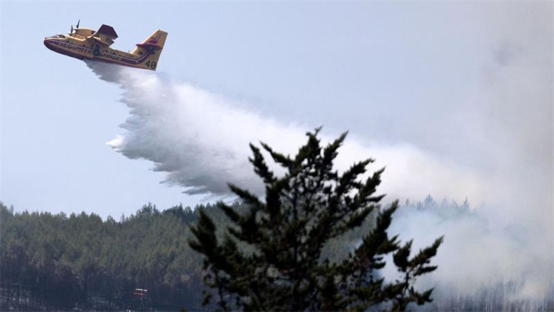 Klimawandel heizt Waldbrände in Südwesteuropa weiter an Frankreich kämpft derzeit gegen die umfangreichsten Waldbrände seit dem Zweiten Weltkrieg (Archivbild).