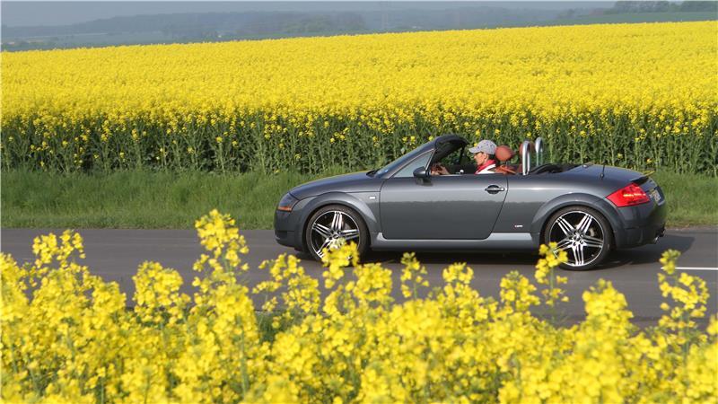 Freie Fahrt für Frischluftfans: Nach dem Winterschlaf sorgt eine kleine Proberunde mit dem Cabrio für Sicherheit.
