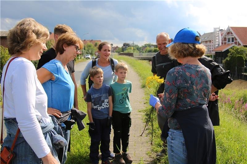 Deiche an Este und Lühe von Giftkraut befreit Freiwillige auf dem Lühe-Deich im Gespräch mit Inken Dippel vom Naturschutzbund Nabu. Foto: Nabu