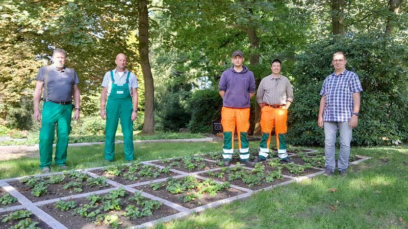 TAGEBLATT Aktuelle Nachrichten aus dem Landkreis Stade