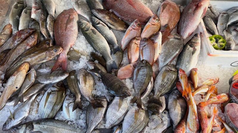 Frischen Fisch erkennt man unter anderen an den klaren, glänzenden Augen. 