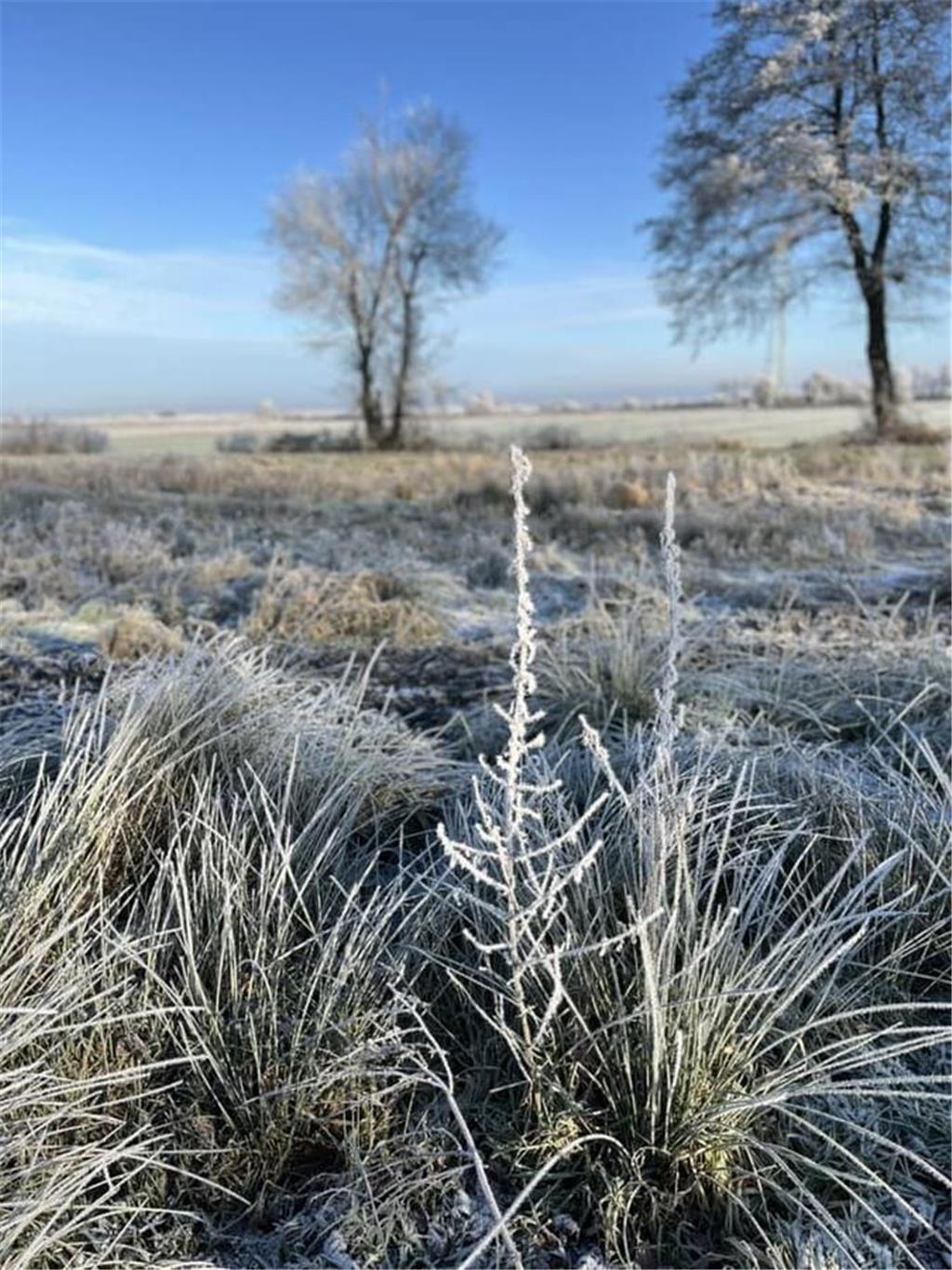 Frost so weit das Auge reicht - auch in Horneburg. Das Foto hat Facebook-Nutzeri...