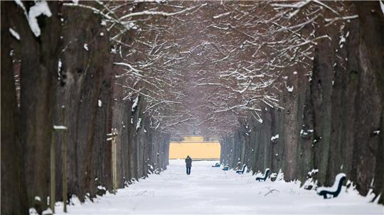 Frost und Schnee bestimmen aktuell das Bild in Niedersachsen und Bremen. (Archivbild)