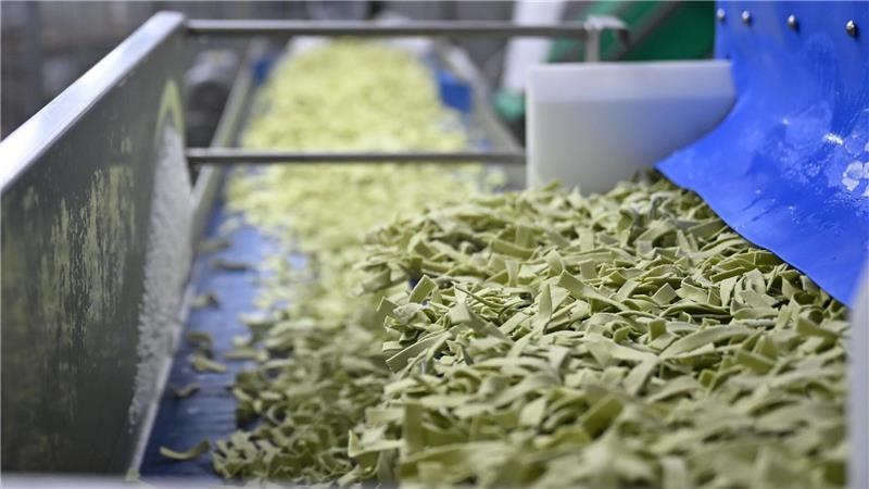 Frosta setzt nach eigenen Angaben auf hohe Qualität - so stammt der Spinat für die Frosta-Nudeln aus eigenem Anbau. 