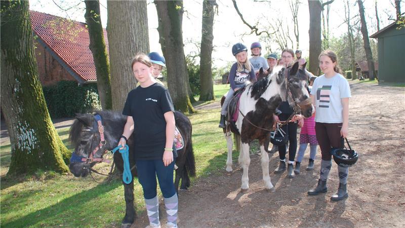 Vom Bauernhof zum Ferienhof: Was die Sauensieker auf Hof Heimberg planen Früher Landwirtschaft, heute Ferienhof mit Ponyreiten.