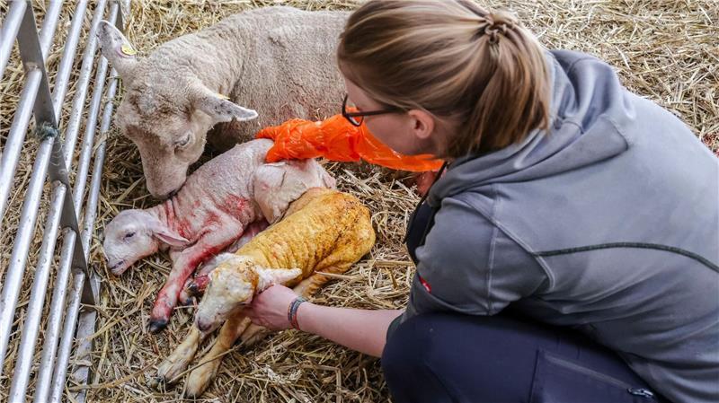 Früher hat Jensen als Erzieherin gearbeitet.