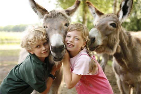 Früher wie heute ist das Eselreiten bei den Kindern sehr beliebt. Die zotteligen Langohren können zum Reiten für die Kinder gemietet oder während eines Rundgangs mit sich geführt werden. Foto: Landpark Lauenbrück