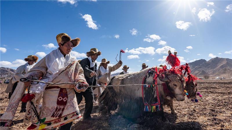Frühjahrsanbau-Zeremonie in China: Bauern nehmen an einer Zeremonie zum Beginn der Frühjahrslandwirtschaft in der Gemeinde Codoi im Kreis Lhunzhub in Lhasa im südwestchinesischen Autonomen Gebiet Xizang teil.