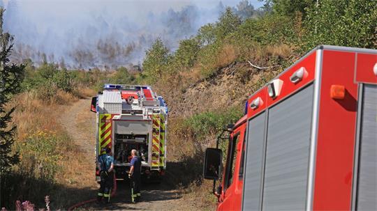 Fünf Hektar Wald sind nach Angaben der Feuerwehr von dem Feuer betroffen. (Archivbild)