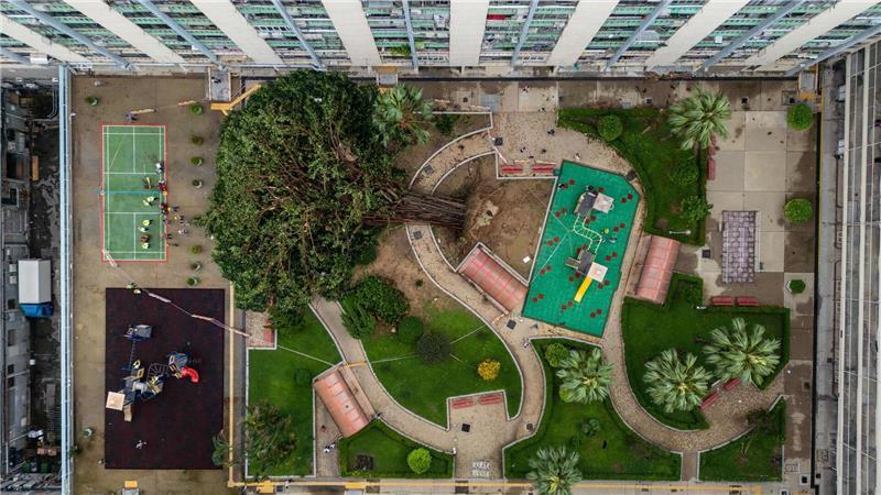 Bilder des Tages Für Bäume einfach umwerfend: Taifun „Ragasa“ hat in Hongkong in einer Wohnsiedlung gewütet und ein Baum ist umgestürzt.