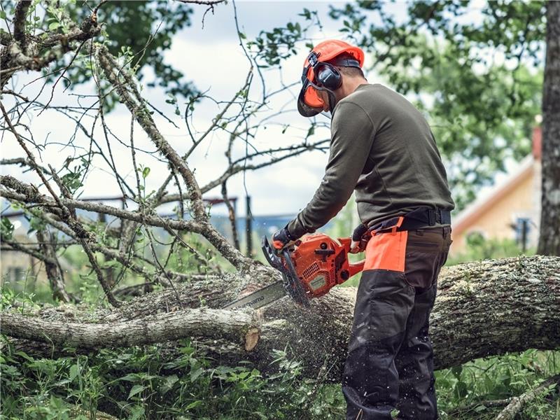 Bäume und Sträucher dürfen nur mit Genehmigung gefällt werden Für Baumfällungen ist in bestimmten Fällen eine Genehmigung des Landkreises erforderlich. Foto: dpa