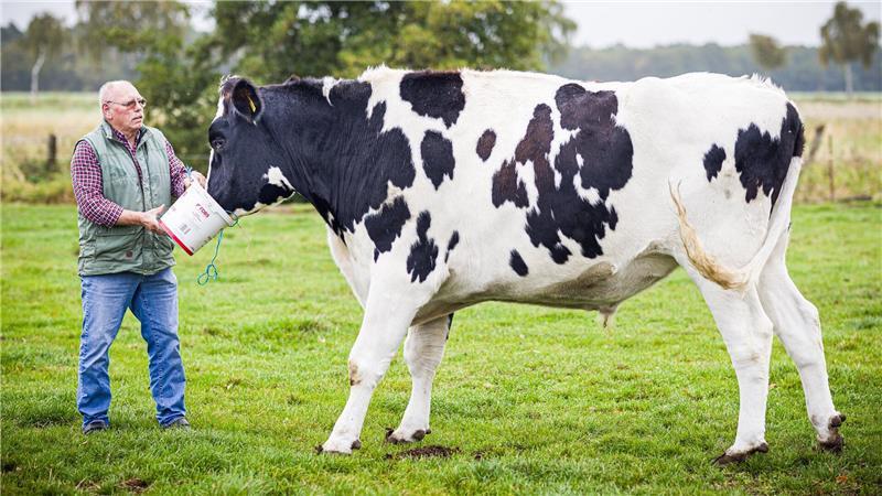 Für Futter kommt Hugo sofort zu seinem liebsten Menschen.