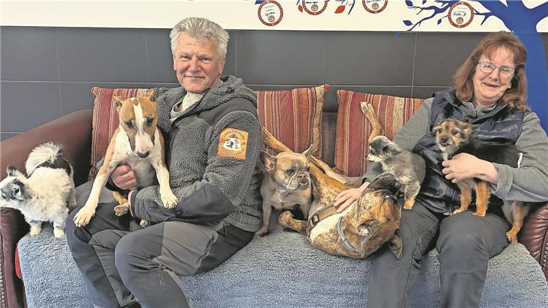 Für Holger Lindbüchl und Susanne Böttcher ist das Lucky Dog Hostel ein Herzensprojekt.