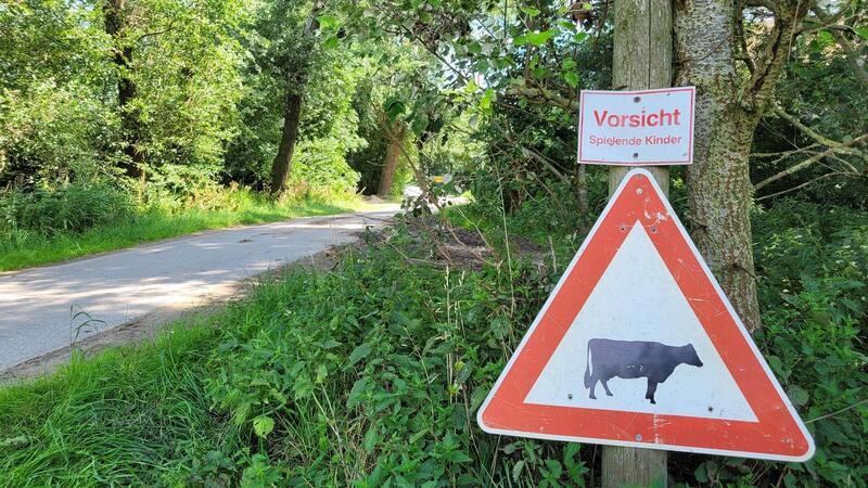 Für Kühe und Kinder gibt es auf dem Altendeich zwischen Misselwarden und Dorum-Neufeld sogar ein eigenes Warnschild.