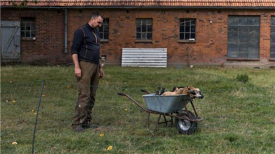 Für Landwirt Janz ist klar, dass seine Schafe von einem Wolf gerissen wurden.