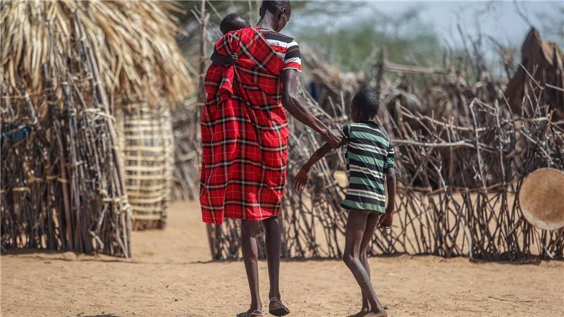 Für Nomaden wie die Massai oder Samburu ist der Verlust von Weideland durch Dürre und Klimawandel existenzbedrohend (Archivbild)