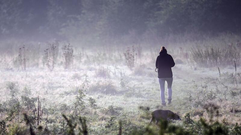 Ergiebiger Dauerregen im Südosten teils bis Montag Für das Wochenende ist Dauerregen im Süden und Südosten vorhergesagt.