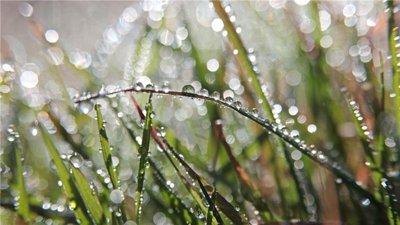 Für das Wochenende ist wechselhaftes Wetter angekündigt.