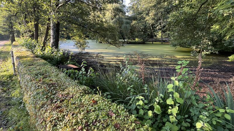Wie der Gestank am Agathenburger Schloss weichen soll Für den Abtransport der Sedimente werden zwei Öffnungen in die Feldsteinmauer geschlagen.
