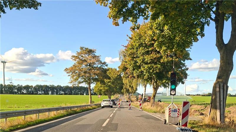 Überall Baustellen: In Apensen regiert derzeit täglich das Verkehrschaos Für den Radweg-Ausbau von Apensen nach Grundoldendorf wurde eine Baustellenampel eingerichtet.