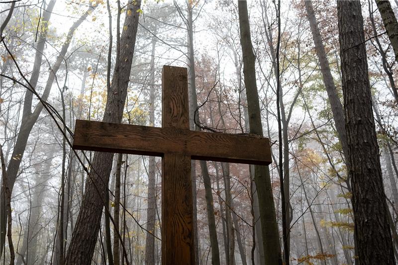 Für die Führung durch den Friedwald in Neukloster ist eine Anmeldung erforderlich (Symbolbild). Foto: Swen Pförtner/dpa