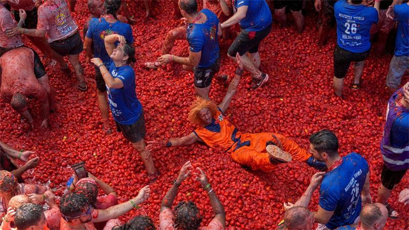 Austoben bei der Tomatenschlacht in Spanien Für die bis zu 22.000 Teilnehmer, die teilweise sogar aus Japan, den USA oder Australien anreisen, war die Tomatenschlacht wieder eine Riesengaudi.
