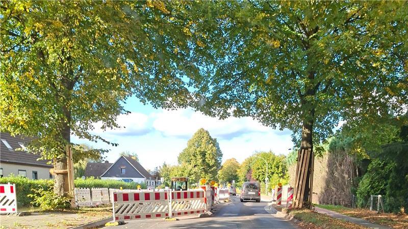 Überall Baustellen: In Apensen regiert derzeit täglich das Verkehrschaos Für die geplante Querungshilfe in Beckdorf ist der Abschnitt an der Ortsdurchfahrt halbseitig gesperrt.