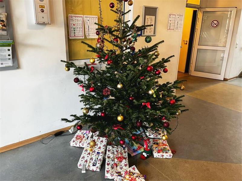 Geschenke-Tour in Stade: Unterwegs mit den Helfern des Weihnachtsmanns Für die vielen Kinder in der Flüchtlingsunterkunft hat Alexa Afschartabbar Päckchen unter den Weihnachtsbaum gelegt.
