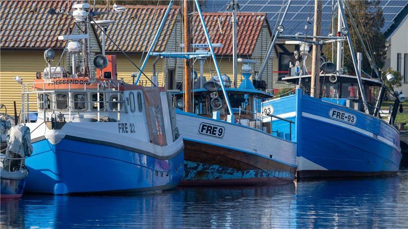 Für die vorpommerschen Fischer aus Freest war die Heringssaison nach eigenen Angaben bislang nicht gut. (Archivbild)