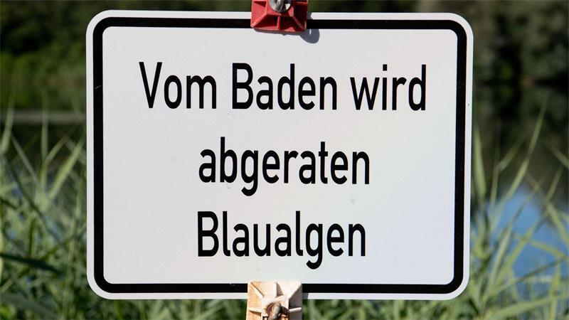 Für einige wenige Badestellen in Schleswig-Holstein, Hamburg und Mecklenburg-Vorpommern wurden Badewarnungen und auch Verbote ausgesprochen – etwa wegen Blaualgen. (Symbolbild)