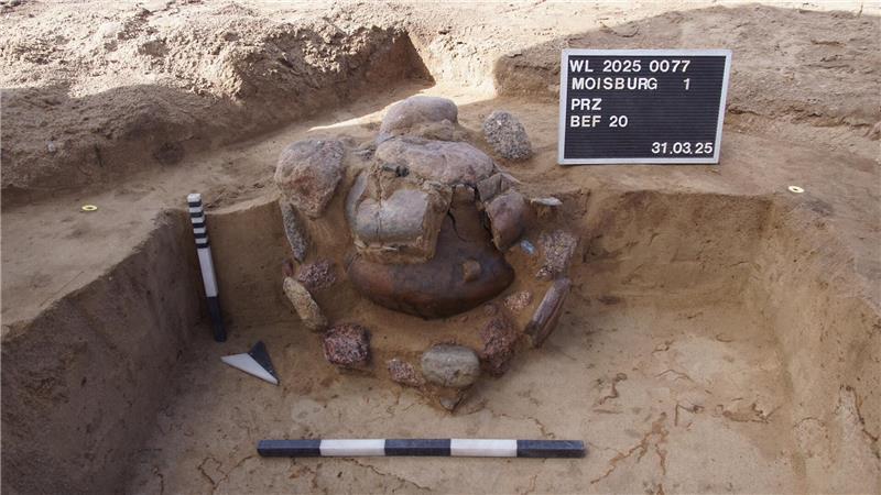 Archäologen entdecken nahe Immenbeck 30 Gräber Fund in Moisburg.