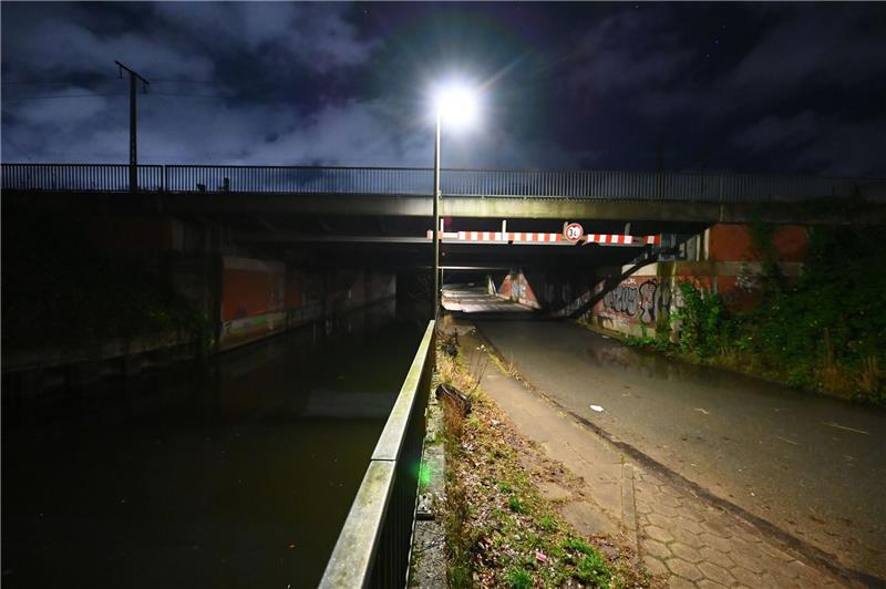 Fundort: Der Ernst-August-Kanal in Hamburg-Wilhelmsburg. Foto: dpa