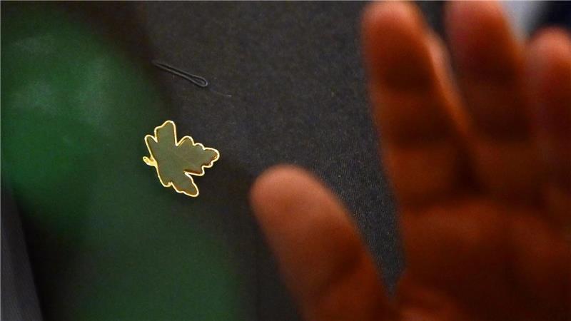 G7-Außenministertreffen in Kanada: Antonio Tajani, Außenminister von Italien, trägt während des zweiten Tags des G7-Außenministertreffens einen Anstecker in Form eines Ahornblatts, einem Symbol für Kanada. 