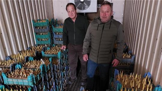 Gärtnermeister Uwe Ablaß (links) präsentiert im Kühlcontainer Debstedts Ortbürgermeister Bernd Krüger seine Arbeit aus dem Herbst. Jetzt werden die Tulpen wöchentlich geerntet.