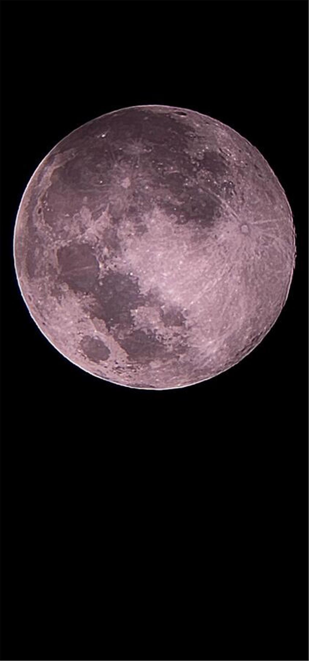 Ganz nah dran ist das Foto von Gregor Sw. 