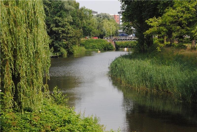 Ganz schön grün ist es in den alten Stader Wallanlagen .