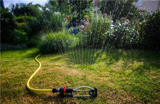 „Gartenbesitzer sollten sich fragen, ob sie unbedingt einen Rasen brauchen und ob der Rasensprenger mittags um eins laufen muss, wenn sehr viel Wasser verdunstet“, sagt die Wasserexpertin Claudia Pahl-Wostl. Foto: Robert Michael/dpa
