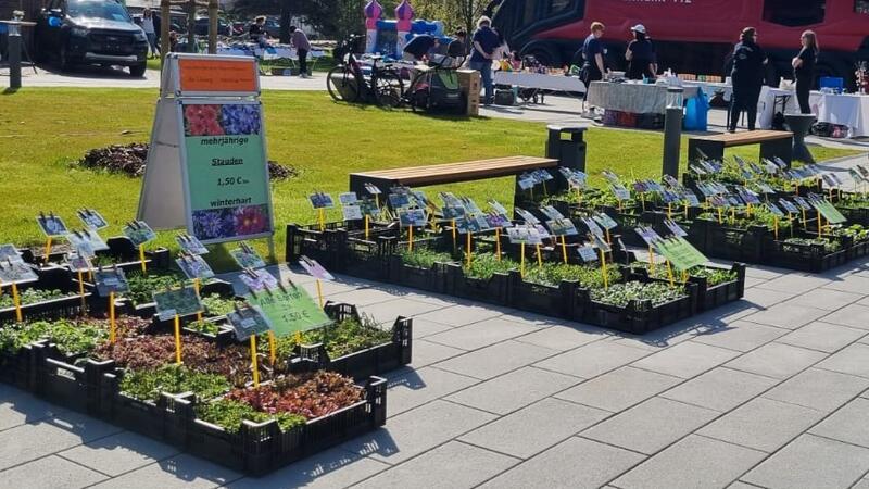 Gartenfreunde und Schnäppchenjäger kommen beim Stauden- und Flohmarkt auf ihre Kosten.