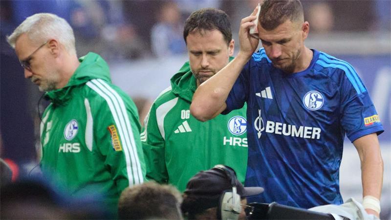 Harmloses Schalke weiter ohne Heimtor: Mainz siegt erneut Gebrauchter Tag für Edin Dzeko und Schalke 04.