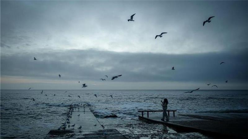 Gefahr an Nordsee: Möwenangriffe auf Hunde nehmen zu Gefährliche Möwen an der Nordseeküste: Gefahr für Hunde und Co.