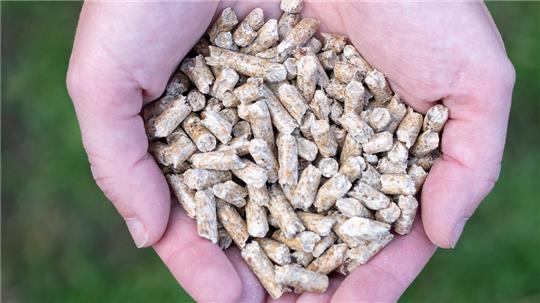 Gefertigt werden Pellets aus getrockneten, nicht behandelten Holzresten, die etwa in Sägewerken anfallen. Foto: Florian Schuh/dpa