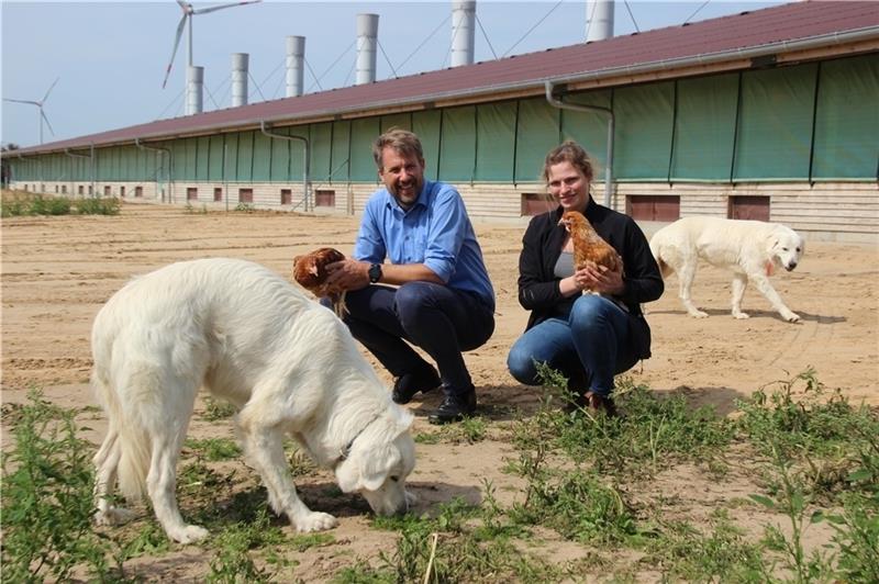 Geflügelhof-Chef Henner Schönecke und Betriebsleiterin Janna Oelkers versprechen sich viel vom Einsatz der Pyrenäenberghunde im Freilandgehege auf dem Hexenberg. Noch sind die beiden Hündinnen in der Eingewöhnungsphase. Bald werden sie zwis