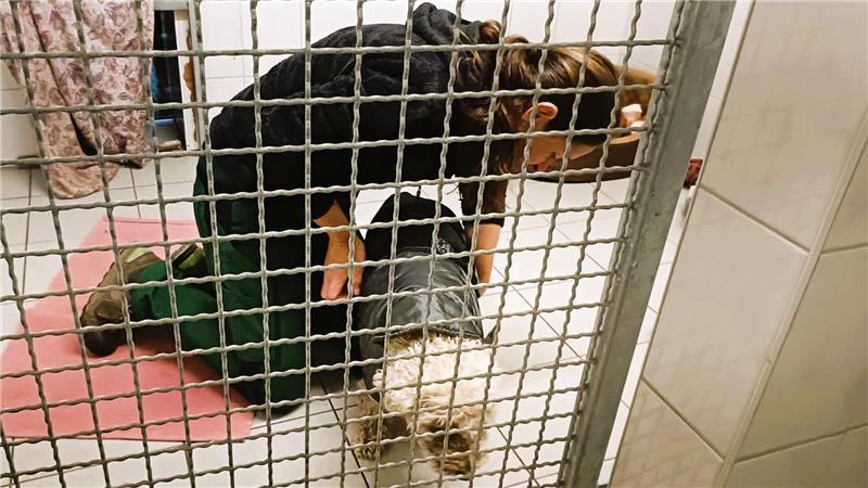 Wenn 46 Bewohner auf Futter warten: Mit Tempo durchs Stader Tierheim Gegen die morgendliche Frische im Freien zieht Julia Weber der 16-jährigen Alisha ein Mäntelchen an.