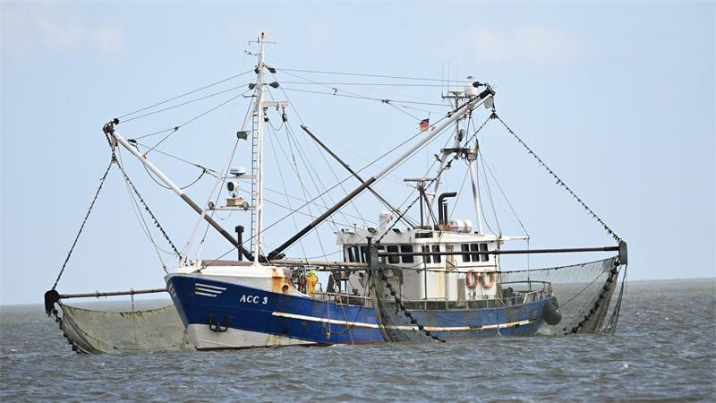 Netze geistern durch die Nordsee – Diese Taucher bergen sie Geisternetze sind Netze, die bei der Fischerei über Bord gehen.