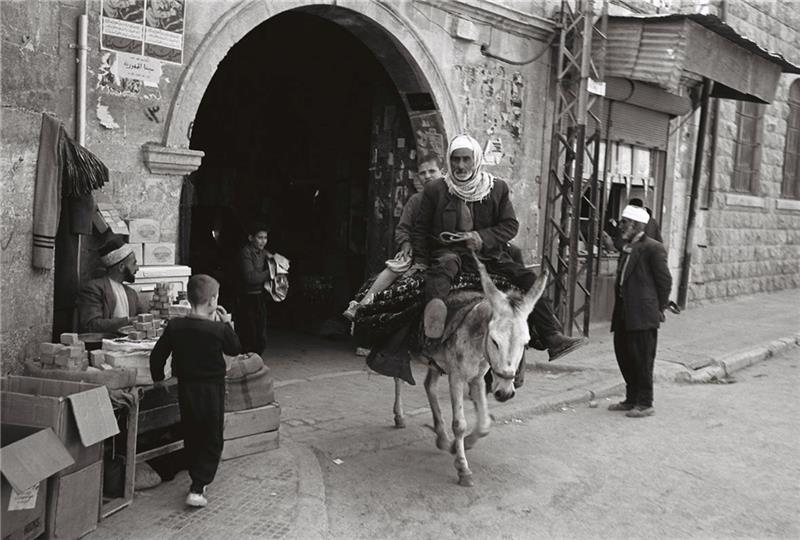Gemächlich reitet ein Händler mit seiner Ware am Eingang zum Suq in Aleppo: eine Impression aus einer Zeit, in der die syrischen Städte noch weitgehend unzerstört waren. Foto: von Schweinitz